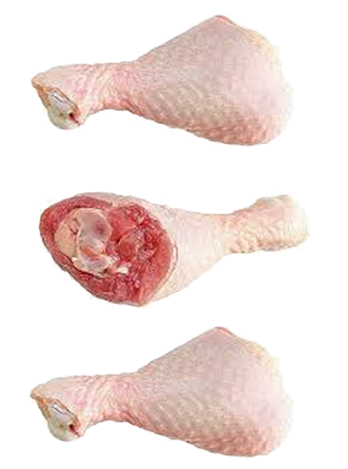 Птиця